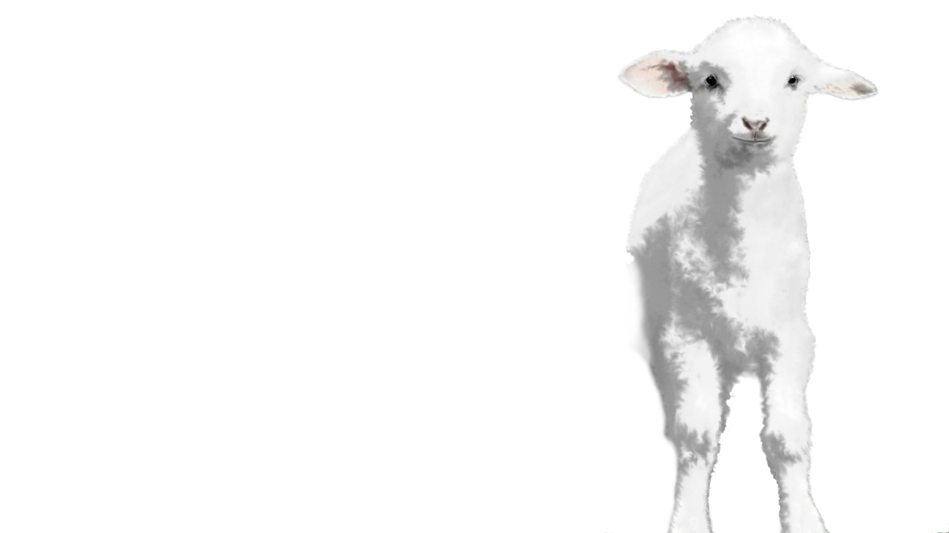 Lamb slider layer B